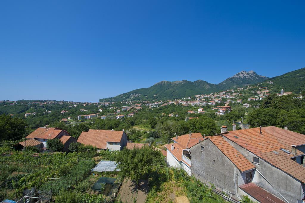 Aria Di Verde *