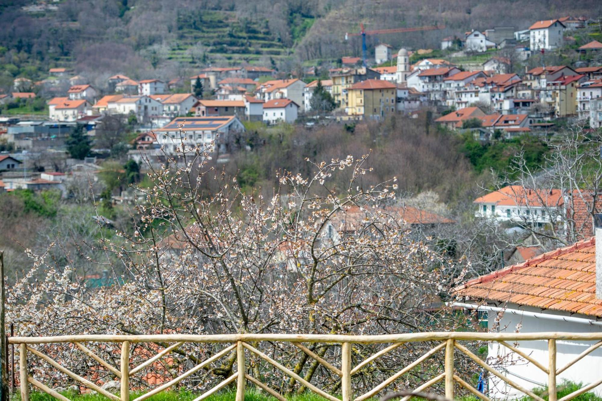 Aria Di Verde *
